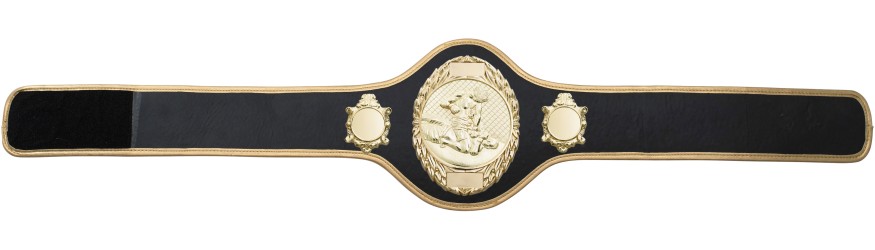 MMA CHAMPIONSHIP BELT-PRO286/G/MMAG-10+ COLOURS
